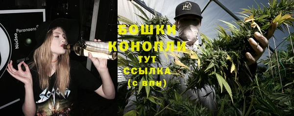 ГАЛЛЮЦИНОГЕННЫЕ ГРИБЫ Тобольск