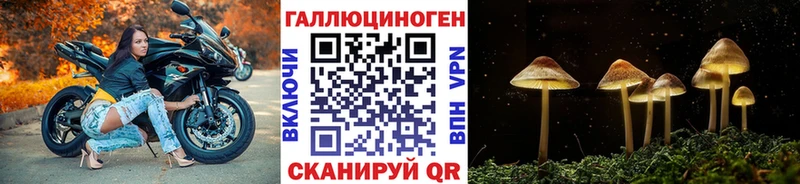 Псилоцибиновые грибы MAGIC MUSHROOMS  цена наркотик  Зеленодольск 